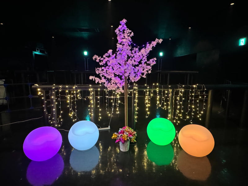 illuminated stools and artificial cherry blossom tree