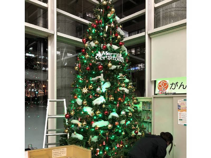 大型クリスマスツリー