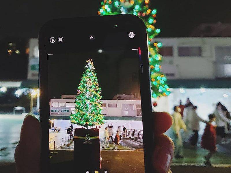 大型クリスマスツリー 現場 現場写真