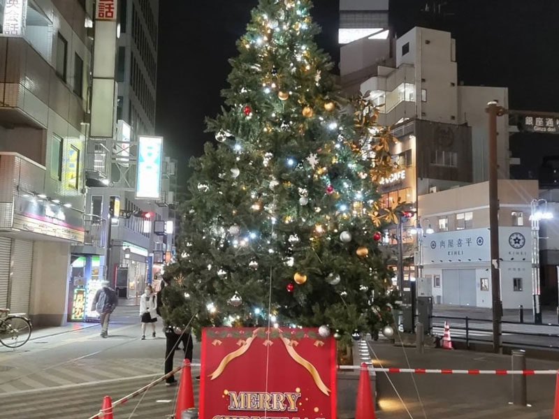 大型クリスマスツリー 現場 現場写真