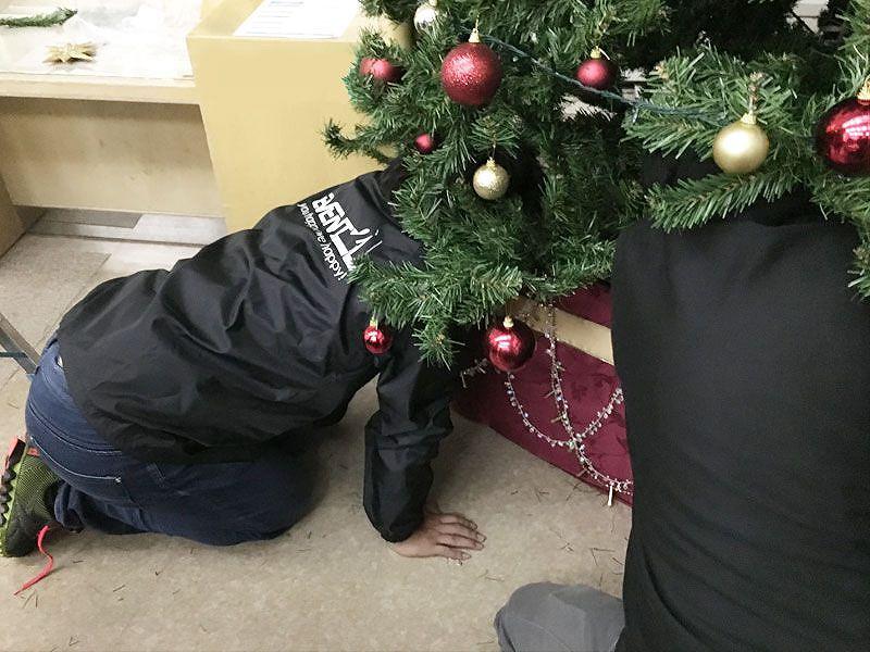 大型クリスマスツリー 設営風景