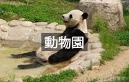 動物園