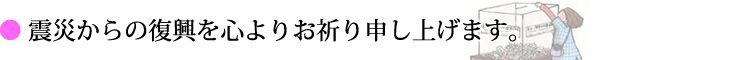東日本大震災からの復興を心よりお祈り申し上げます。頑張ろう日本!