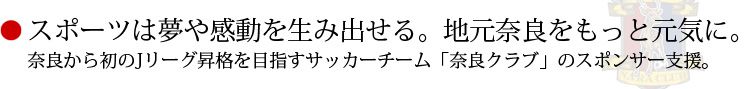 スポーツは夢や感動を生み出せる。地元奈良をもっと元気に。奈良から初のJリーグ昇格を目指すサッカーチーム「奈良クラブ」のスポンサー支援。