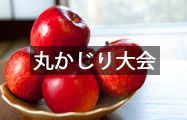 丸かじり大会レンタル用品