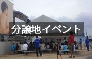 分譲地イベント