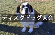 ディスクドッグ