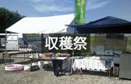 収穫祭