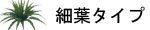 細葉 タイプ