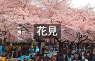 花見レンタル用品