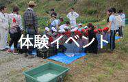 体験イベント