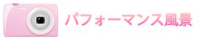 実際のパフォーマンス風景