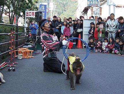 猿回し路上パフォーマンス