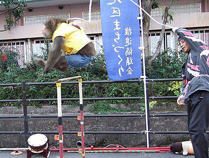 猿回し師とハイジャンプするおさるさん