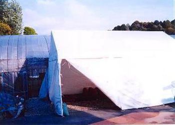 幅(W):3間(5.4m) レンタル