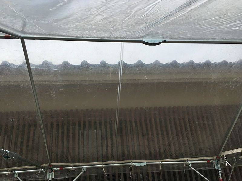 透明テント 受付の様子