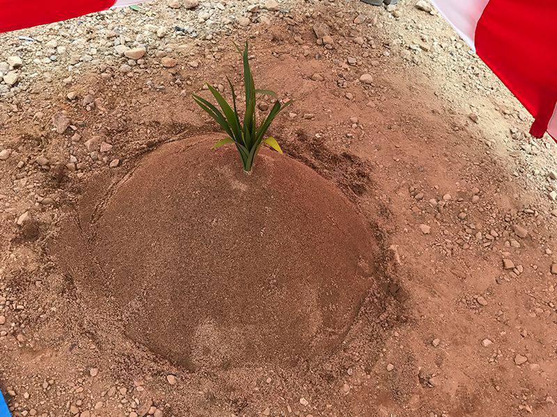 略式地鎮祭 盛砂