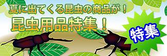 昆虫用品特集